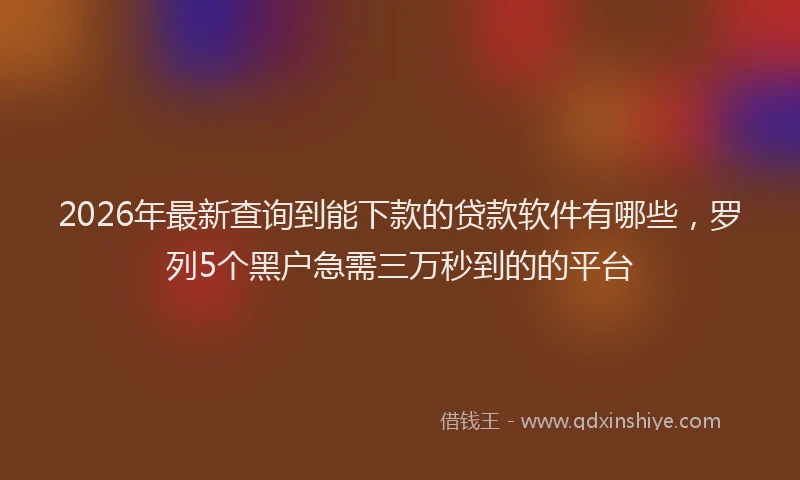 2026年最新查询到能下款的贷款软件有哪些，罗列5个黑户急需三万秒到的的平台