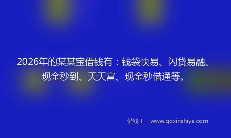 2026年的某某宝借钱有：钱袋快易、闪贷易融、现金秒到、天天富、现金秒借通等。