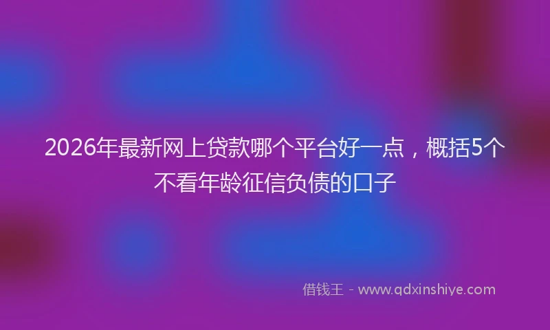 2026年最新网上贷款哪个平台好一点，概括5个不看年龄征信负债的口子