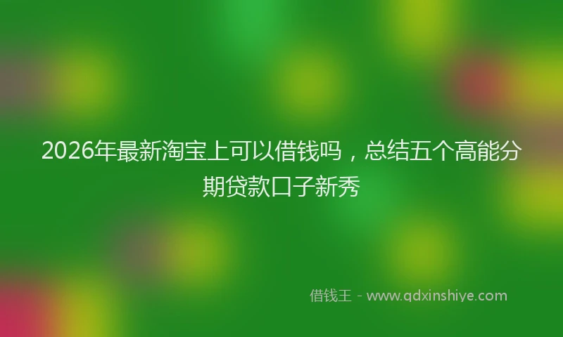 2026年最新淘宝上可以借钱吗，总结五个高能分期贷款口子新秀
