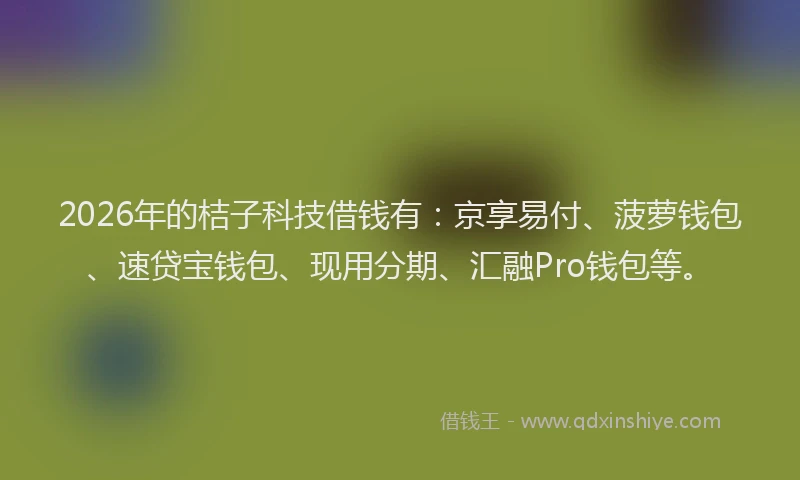 2026年的桔子科技借钱有：京享易付、菠萝钱包、速贷宝钱包、现用分期、汇融Pro钱包等。