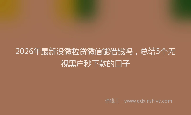 2026年最新没微粒贷微信能借钱吗，总结5个无视黑户秒下款的口子