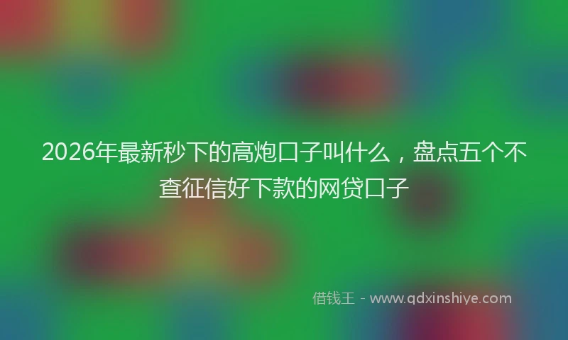 2026年最新秒下的高炮口子叫什么，盘点五个不查征信好下款的网贷口子