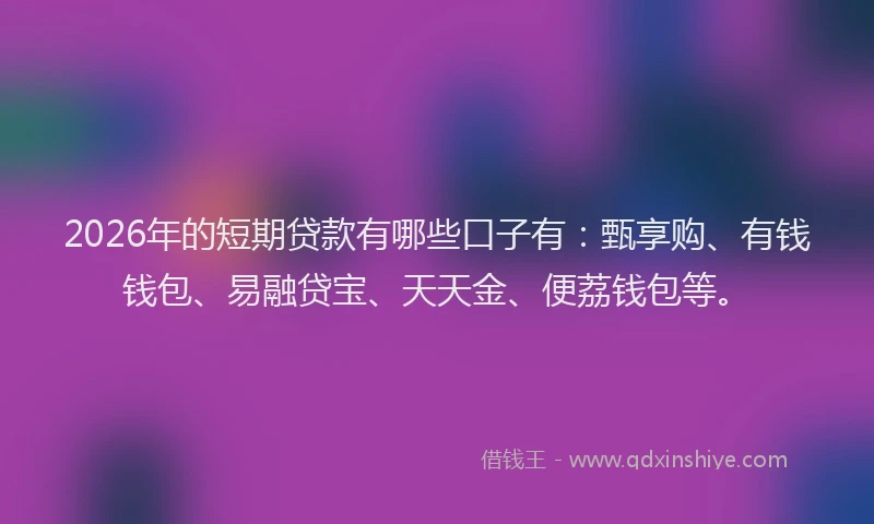 2026年的短期贷款有哪些口子有：甄享购、有钱钱包、易融贷宝、天天金、便荔钱包等。
