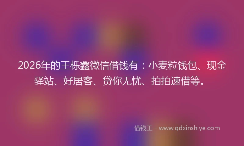 2026年的王栎鑫微信借钱有：小麦粒钱包、现金驿站、好居客、贷你无忧、拍拍速借等。