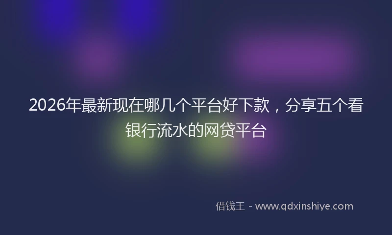2026年最新现在哪几个平台好下款，分享五个看银行流水的网贷平台