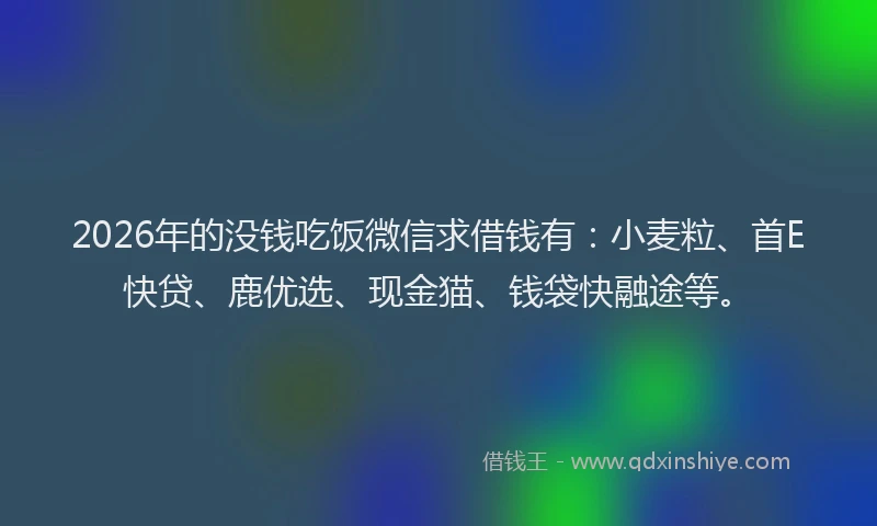 2026年的没钱吃饭微信求借钱有：小麦粒、首E快贷、鹿优选、现金猫、钱袋快融途等。