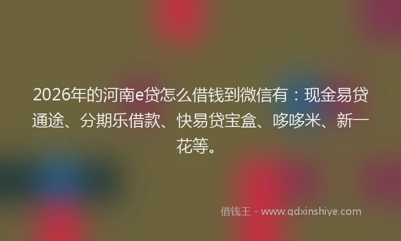 2026年的河南e贷怎么借钱到微信有：现金易贷通途、分期乐借款、快易贷宝盒、哆哆米、新一花等。
