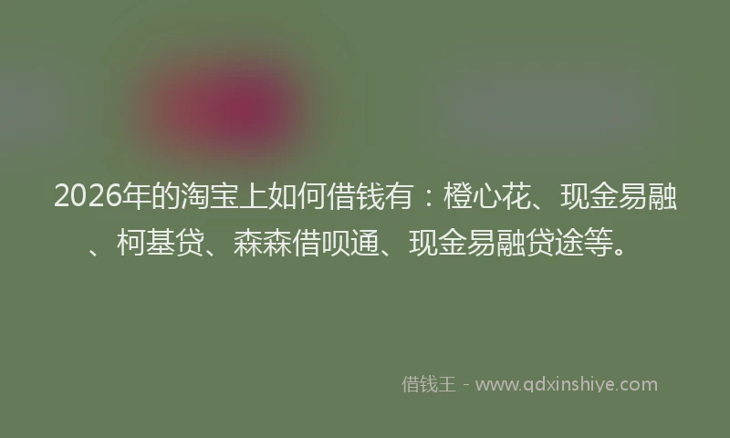 2026年的淘宝上如何借钱有：橙心花、现金易融、柯基贷、森森借呗通、现金易融贷途等。