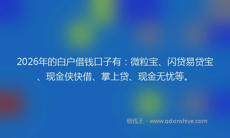 2026年的白户借钱口子有：微粒宝、闪贷易贷宝、现金侠快借、掌上贷、现金无忧等。
