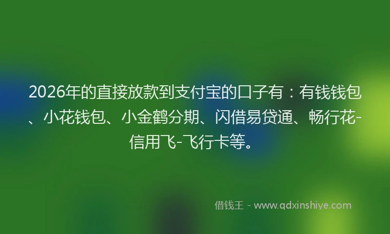 2026年的直接放款到支付宝的口子有：有钱钱包、小花钱包、小金鹤分期、闪借易贷通、畅行花-信用飞-飞行卡等。