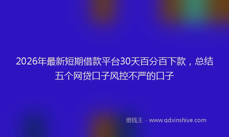 2026年最新短期借款平台30天百分百下款，总结五个网贷口子风控不严的口子