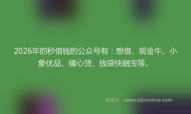 2026年的秒借钱的公众号有：想借、现金牛、小象优品、臻心贷、钱袋快融宝等。