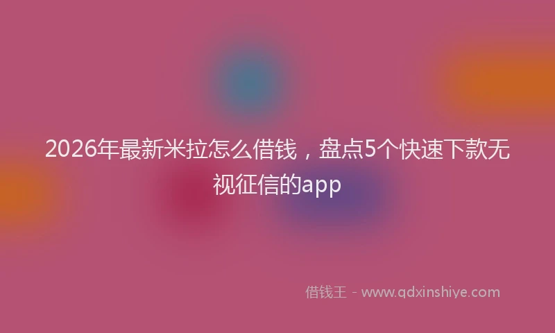 2026年最新米拉怎么借钱，盘点5个快速下款无视征信的app