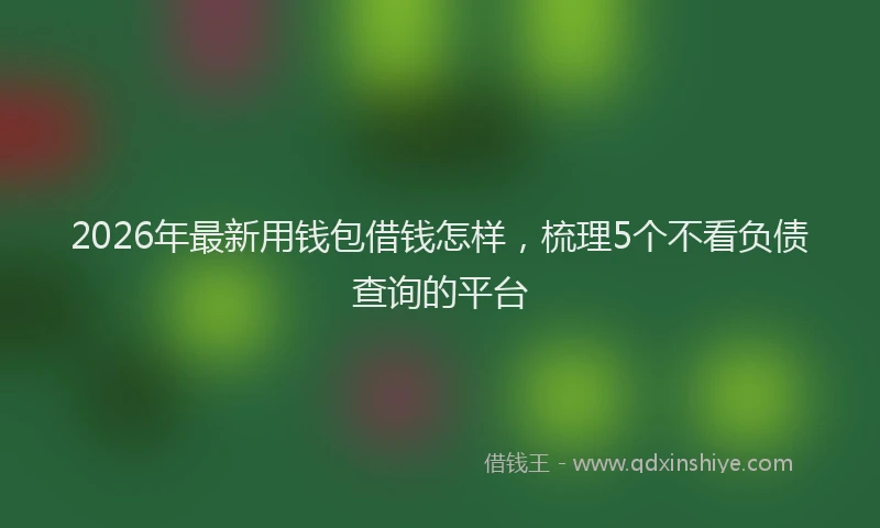 2026年最新用钱包借钱怎样，梳理5个不看负债查询的平台