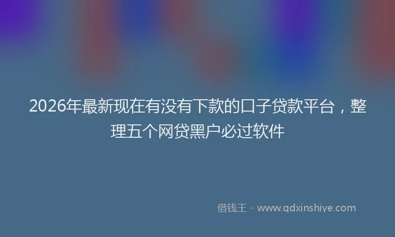 2026年最新现在有没有下款的口子贷款平台，整理五个网贷黑户必过软件