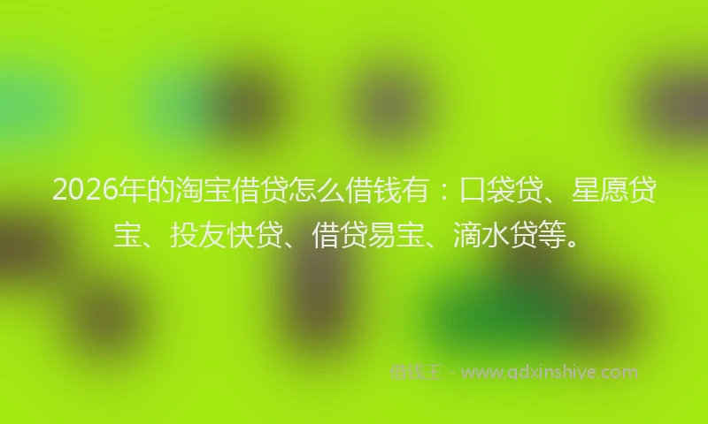 2026年的淘宝借贷怎么借钱有：口袋贷、星愿贷宝、投友快贷、借贷易宝、滴水贷等。