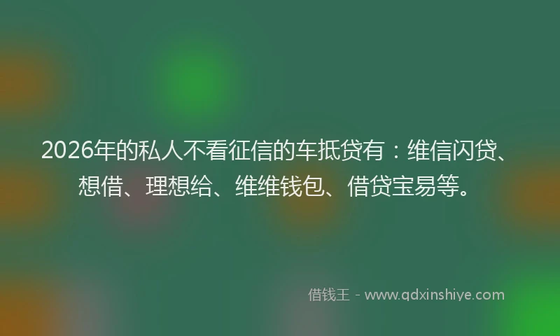 2026年的私人不看征信的车抵贷有：维信闪贷、想借、理想给、维维钱包、借贷宝易等。