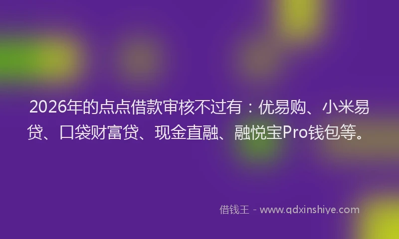 2026年的点点借款审核不过有：优易购、小米易贷、口袋财富贷、现金直融、融悦宝Pro钱包等。