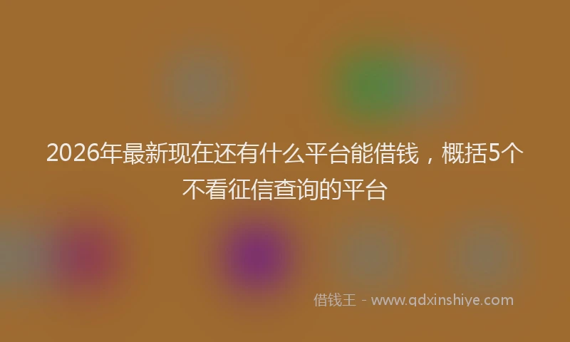 2026年最新现在还有什么平台能借钱，概括5个不看征信查询的平台