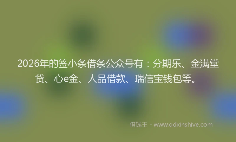 2026年的签小条借条公众号有：分期乐、金满堂贷、心e金、人品借款、瑞信宝钱包等。