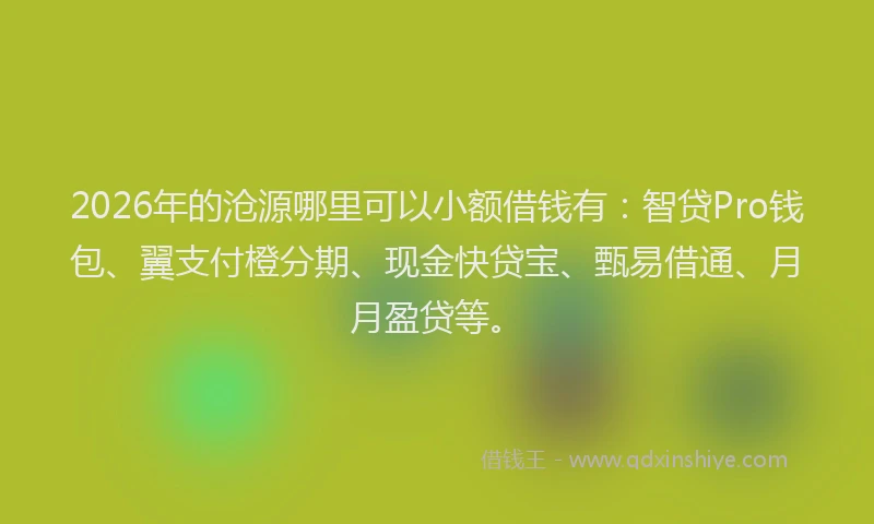 2026年的沧源哪里可以小额借钱有：智贷Pro钱包、翼支付橙分期、现金快贷宝、甄易借通、月月盈贷等。