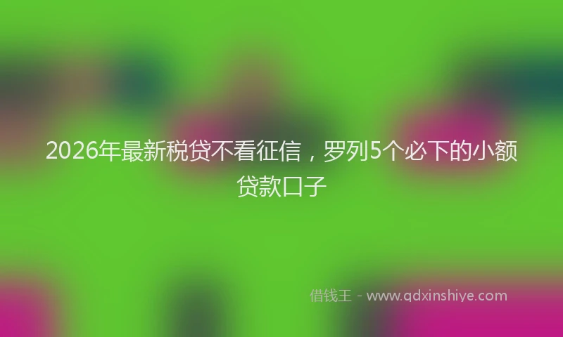 2026年最新税贷不看征信，罗列5个必下的小额贷款口子