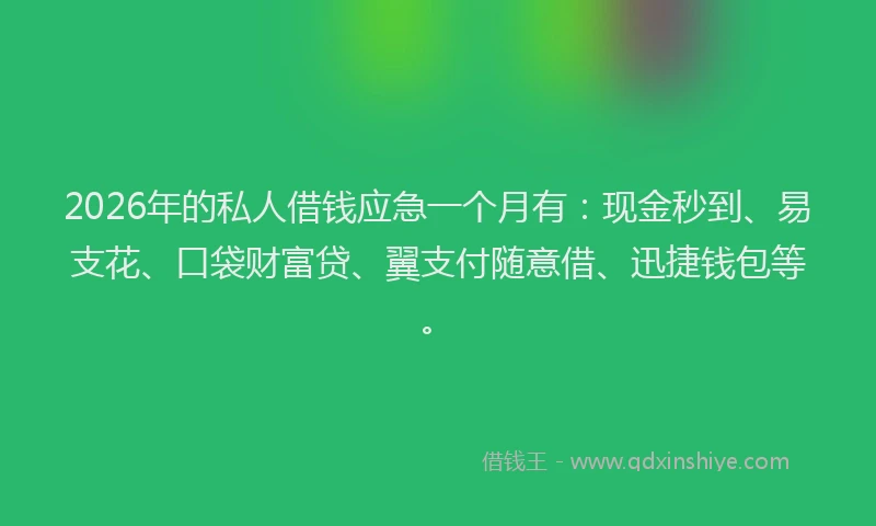 2026年的私人借钱应急一个月有：现金秒到、易支花、口袋财富贷、翼支付随意借、迅捷钱包等。