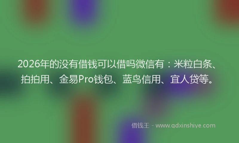2026年的没有借钱可以借吗微信有：米粒白条、拍拍用、金易Pro钱包、蓝鸟信用、宜人贷等。