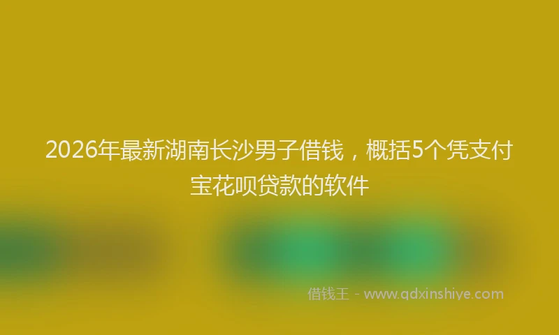 2026年最新湖南长沙男子借钱，概括5个凭支付宝花呗贷款的软件