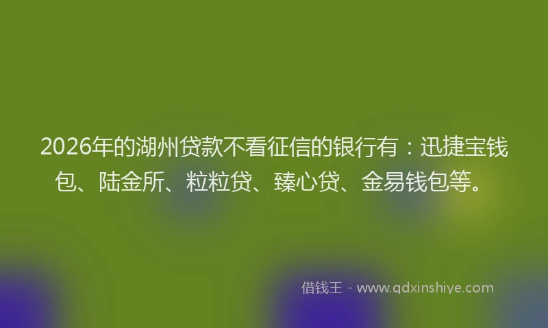 2026年的湖州贷款不看征信的银行有：迅捷宝钱包、陆金所、粒粒贷、臻心贷、金易钱包等。