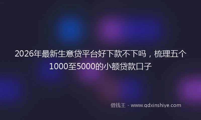 2026年最新生意贷平台好下款不下吗，梳理五个1000至5000的小额贷款口子