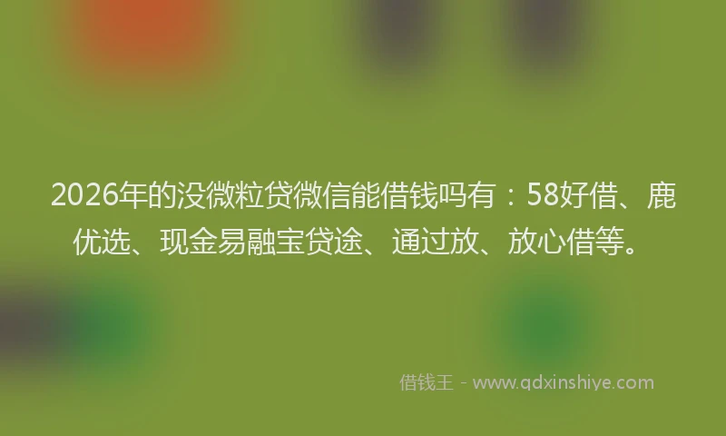 2026年的没微粒贷微信能借钱吗有：58好借、鹿优选、现金易融宝贷途、通过放、放心借等。