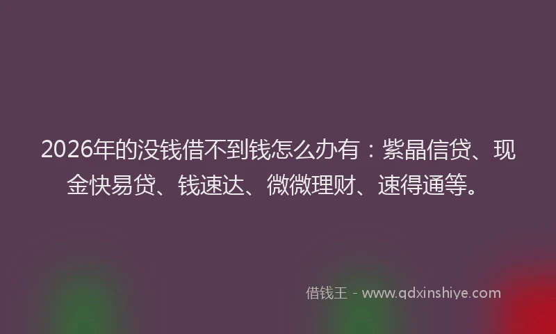 2026年的没钱借不到钱怎么办有：紫晶信贷、现金快易贷、钱速达、微微理财、速得通等。