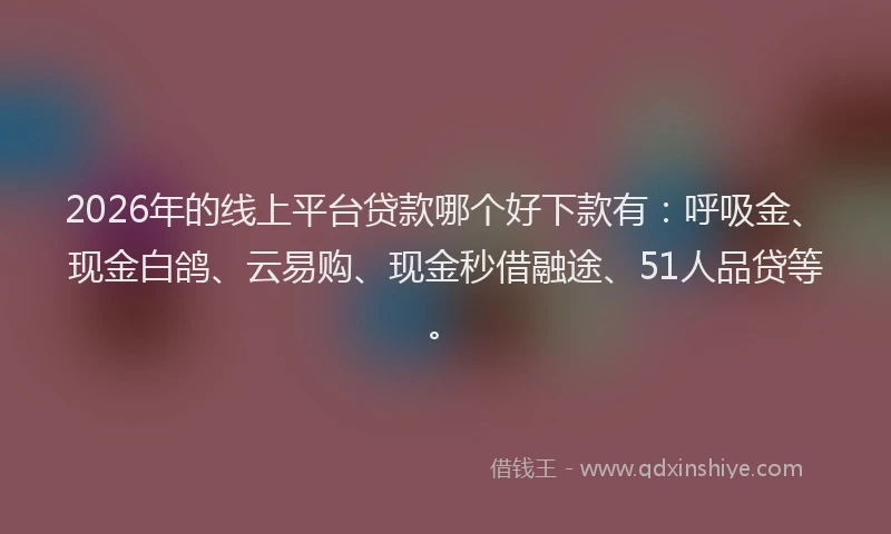 2026年的线上平台贷款哪个好下款有：呼吸金、现金白鸽、云易购、现金秒借融途、51人品贷等。