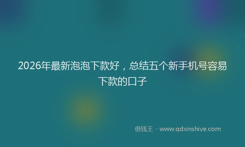 2026年最新泡泡下款好，总结五个新手机号容易下款的口子
