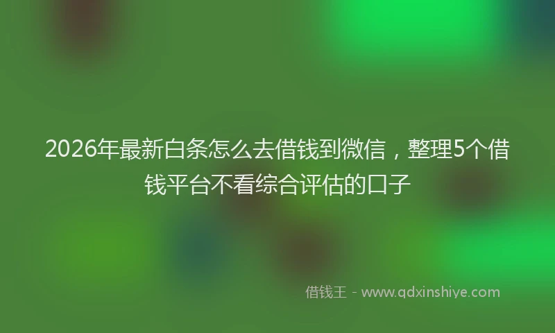 2026年最新白条怎么去借钱到微信，整理5个借钱平台不看综合评估的口子