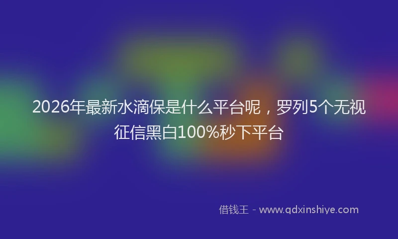 2026年最新水滴保是什么平台呢，罗列5个无视征信黑白100%秒下平台
