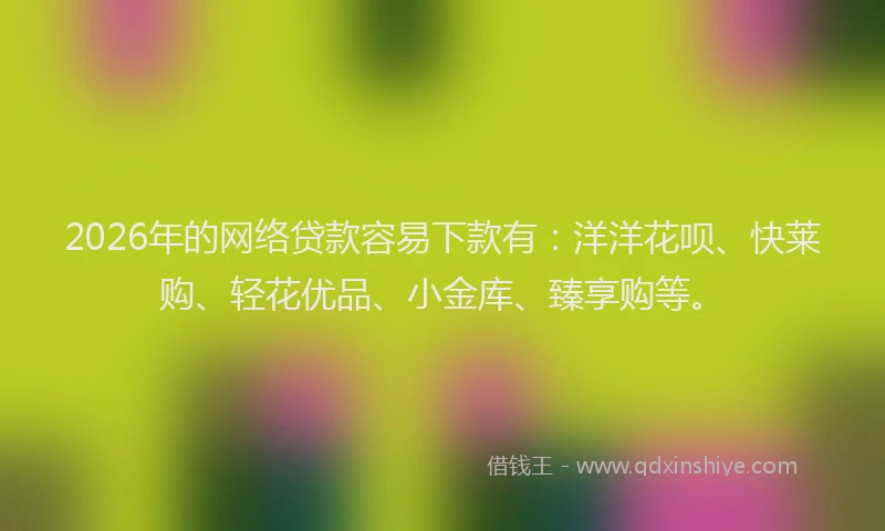 2026年的网络贷款容易下款有：洋洋花呗、快莱购、轻花优品、小金库、臻享购等。