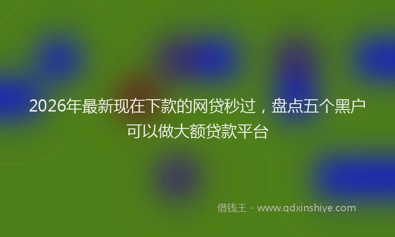2026年最新现在下款的网贷秒过，盘点五个黑户可以做大额贷款平台