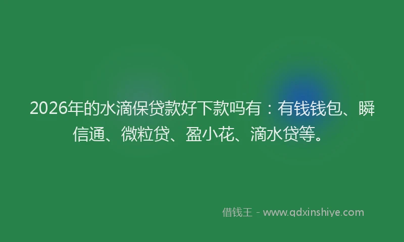 2026年的水滴保贷款好下款吗有：有钱钱包、瞬信通、微粒贷、盈小花、滴水贷等。