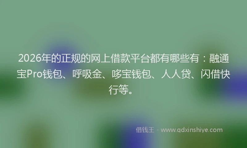 2026年的正规的网上借款平台都有哪些有：融通宝Pro钱包、呼吸金、哆宝钱包、人人贷、闪借快行等。