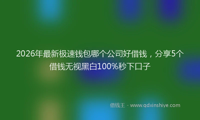 2026年最新极速钱包哪个公司好借钱，分享5个借钱无视黑白100%秒下口子