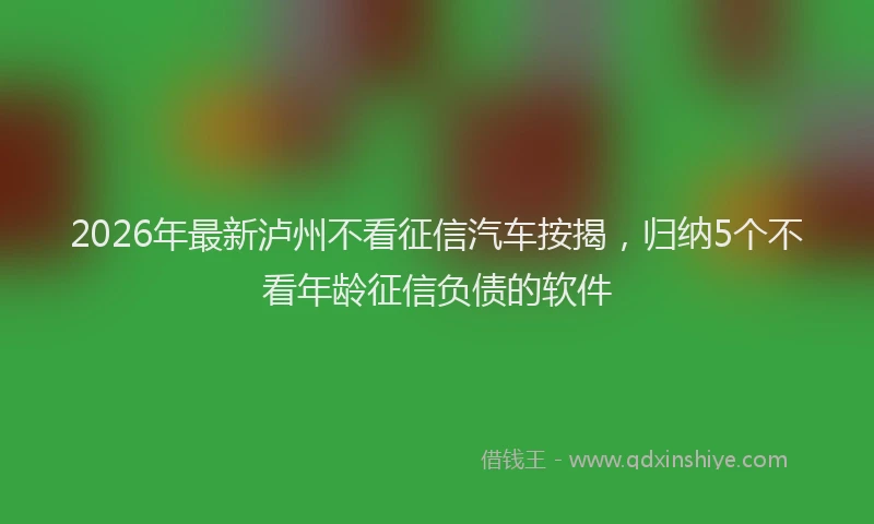 2026年最新泸州不看征信汽车按揭，归纳5个不看年龄征信负债的软件