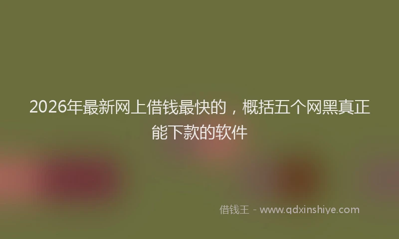 2026年最新网上借钱最快的，概括五个网黑真正能下款的软件