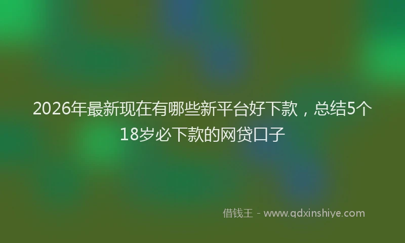 2026年最新现在有哪些新平台好下款，总结5个18岁必下款的网贷口子