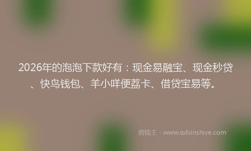 2026年的泡泡下款好有：现金易融宝、现金秒贷、快鸟钱包、羊小咩便荔卡、借贷宝易等。