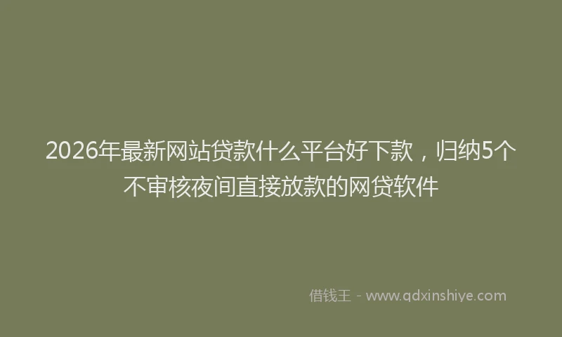 2026年最新网站贷款什么平台好下款，归纳5个不审核夜间直接放款的网贷软件
