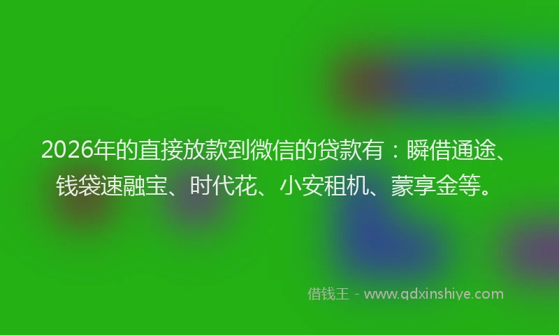 2026年的直接放款到微信的贷款有：瞬借通途、钱袋速融宝、时代花、小安租机、蒙享金等。