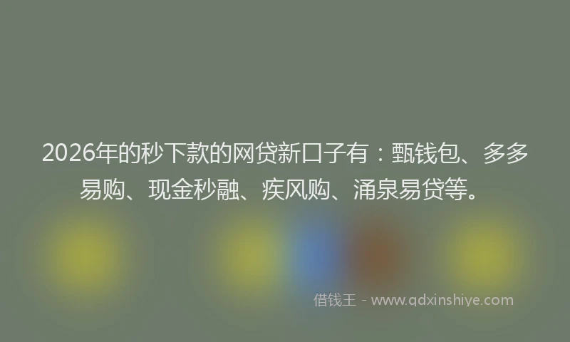 2026年的秒下款的网贷新口子有：甄钱包、多多易购、现金秒融、疾风购、涌泉易贷等。